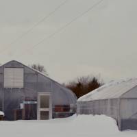 An image of the SAP's three hoop houses with feet of snow piled up on either side.